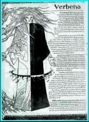 ilustración Verbena