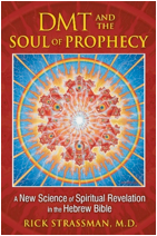 Descripción: Resultado de imagen para prophets on dmt