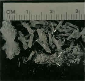 Imagen escaneada del libro 