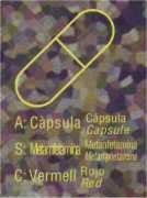 Imagen escaneada del folleto "A toda pastilla"